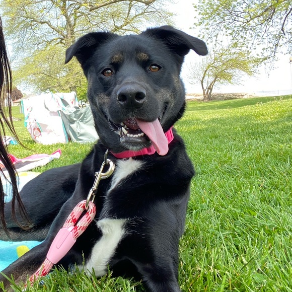 SHARE SHOW 6/20 11:45 EST!!! - Picture 6 of 8